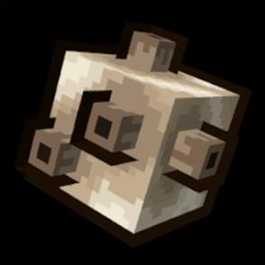 Laws of Motion thumbnail